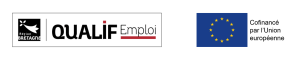 qualif emploi et fse