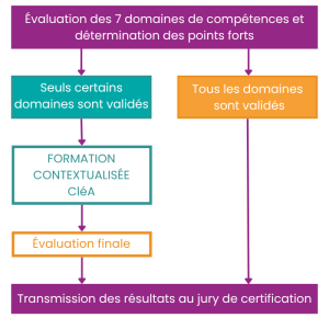 schema clea
