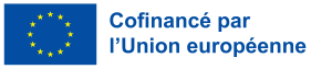 cofinance par l union europeenne v (1)
